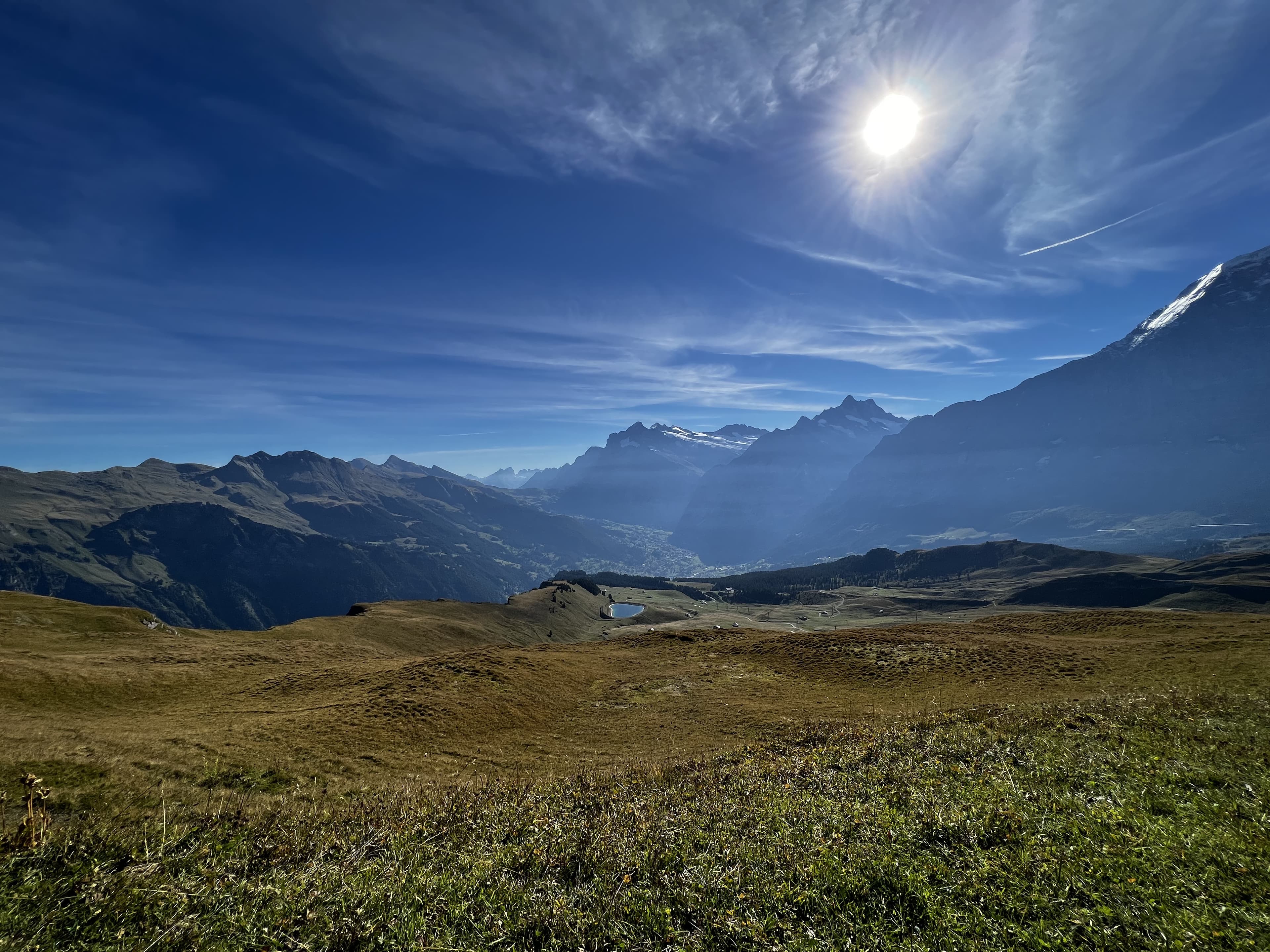 Alpine Ant Perspective
