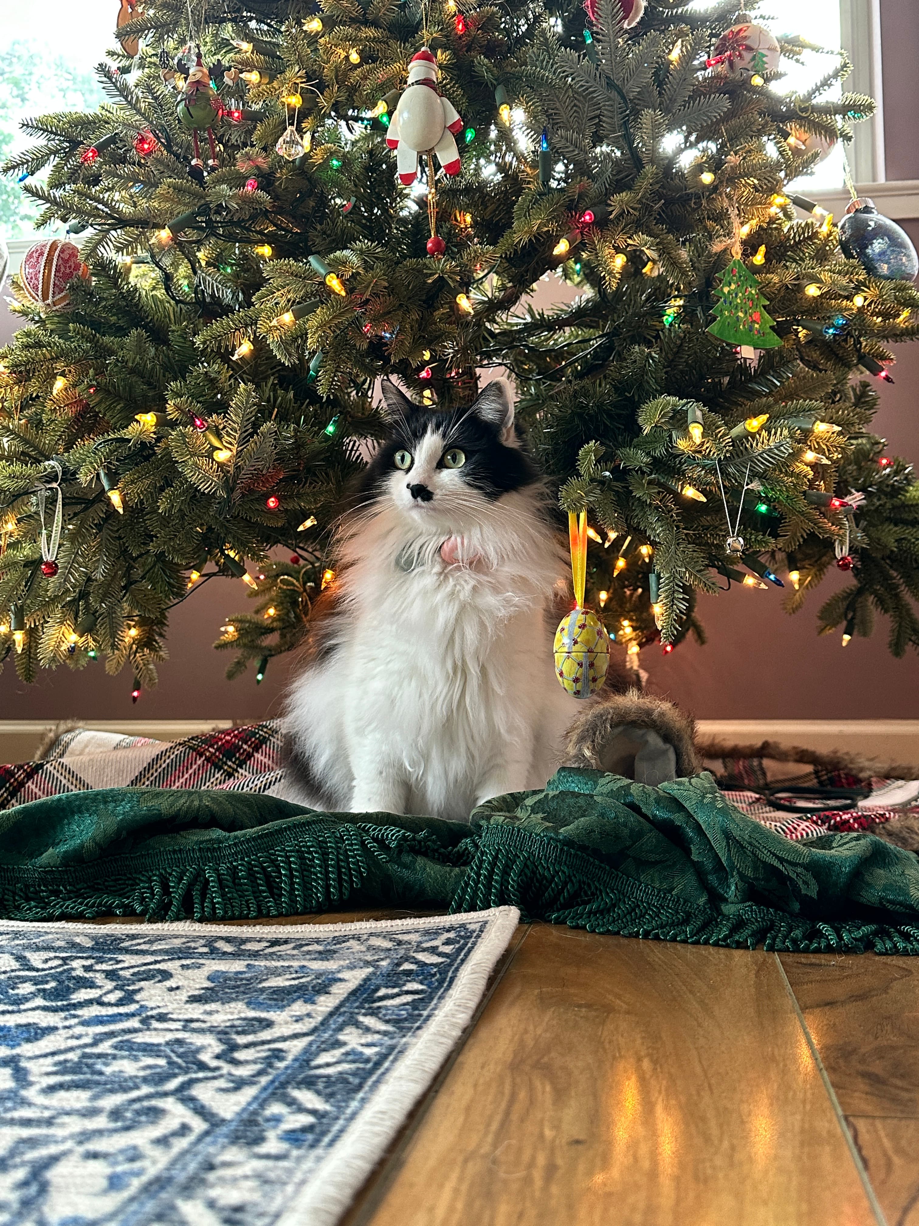 Christmas with Oreo